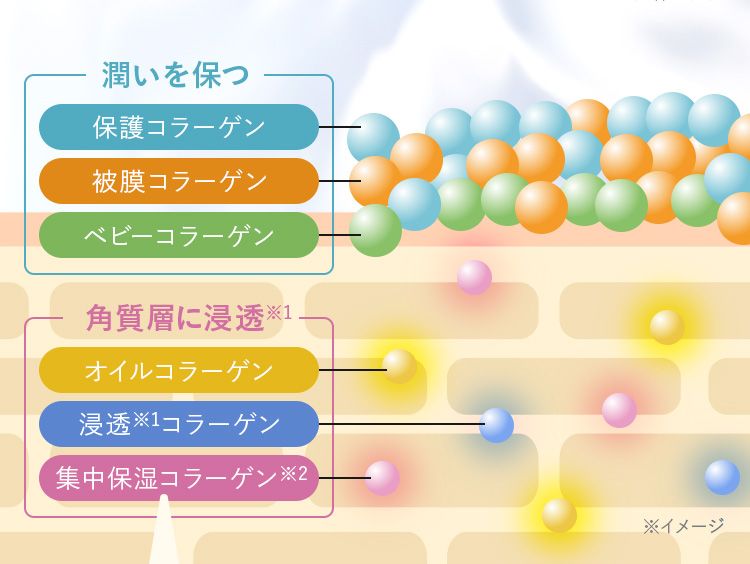 潤いを保ち、角質層に浸透する各種コラーゲン