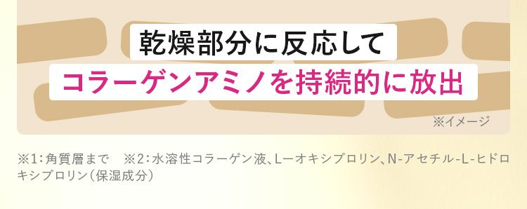 乾燥部分に反応して、コラーゲンアミノを持続的に放出