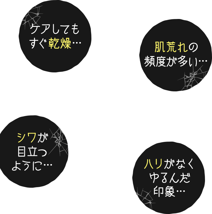 ケアしてもすぐ乾燥。肌あれの頻度が多い。シワが目立つように。ハリがなくゆるんだ印象。